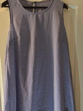 Blue Gingham Dress